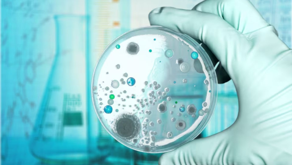 Department of Microbiology - UIMS Medical College